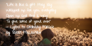 om_dandelion_landscape.png